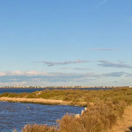 Ile Bleue - Sur La Lejlighed